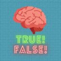 True or false quiz 6 true or false quiz